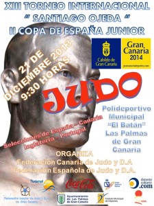 CARTEL SANTIAGO OJEDA 2013-3