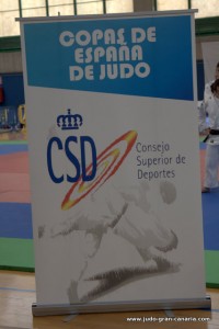 COPAESPAÑA JUNIOR