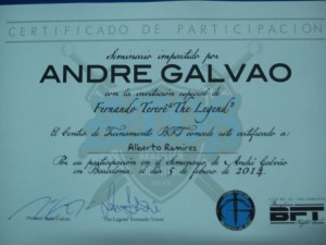 Certificado de partic.