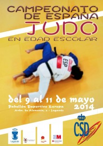 CARTEL campeonato-españa-cad-inf-2014